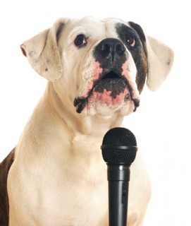 dog_microphone-271x320.jpg